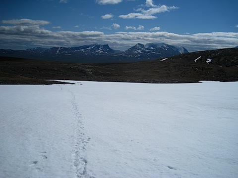 Abisko Juni 2009 dag 4 - 09.jpg